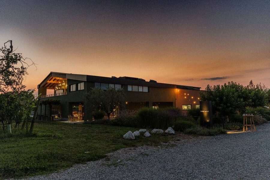 Desenzano: Lugana Wine-Tasting and Vineyard Tour - Vineyard time: sustainable farming you can actually picture