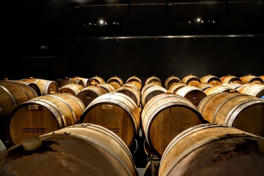 Desenzano: Lugana Wine-Tasting and Vineyard Tour - Guides, explanations, and the small touches that make it feel worth it