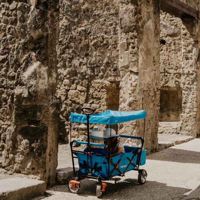 Discover Pompeii: French Walking Tour of the Buried City - Meeting up at the right spot, fast
