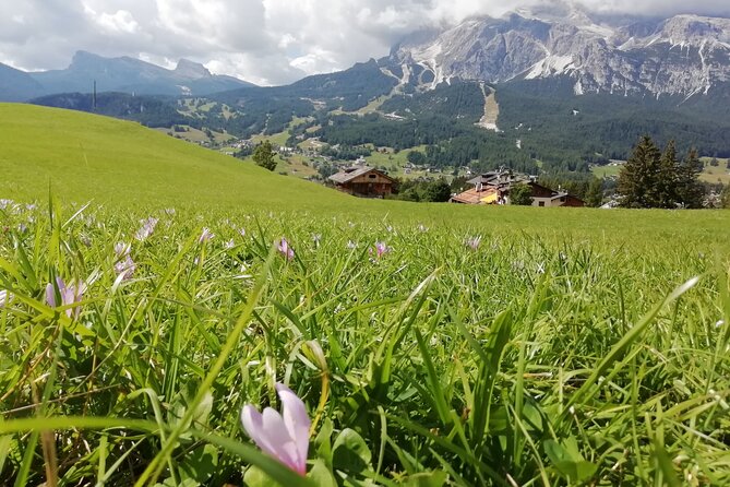 Discover the Dolomites, Cortina and Lake Braies from Venice - Lake Braies: your main event (walk the loop or rent a rowboat)