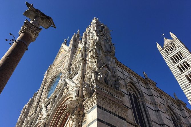 Discover the Medieval Charm of Siena on a Private Walking Tour - Stop by Stop: San Domenico and St Catherine’s Places of Meaning