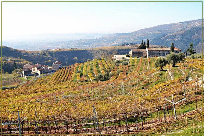 Discover Valpolicella Vineyards and Wine Tasting Experience - The Terrace Views: When Weather Does What It Wants