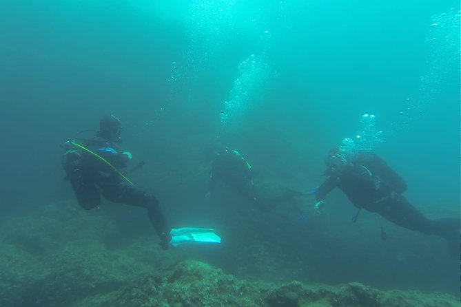 Diving for patented divers - Two underwater sessions with a tight coaching ratio