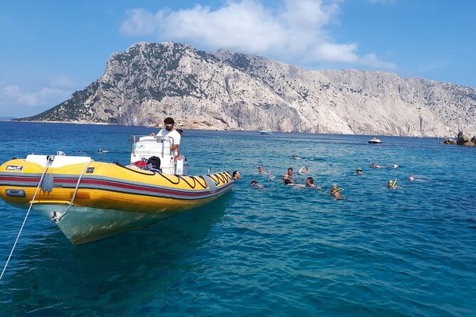 Dolphin Watching and Snorkeling in Figarolo in Sardinia - Figarolo Island Snorkeling Stop: Snorkel, Swim, and Reset