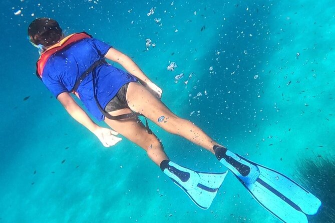 Dolphin Watching and Snorkeling in Figarolo in Sardinia - What Your Guides Actually Do (Beyond Spotting Dolphins)