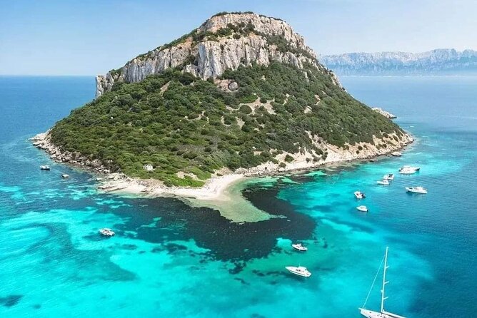 Dolphin Watching Tour with Snorkeling from Olbia - Stop 1: Capo Figari for Caves, Cliffs, and Bird Territory Above the Sea
