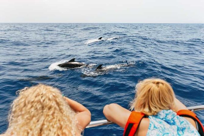 Dolphin Watching Tour with Snorkeling from Olbia - Stop 3: Figarolo Beach and Turquoise Water Swims Near Figarolo Island