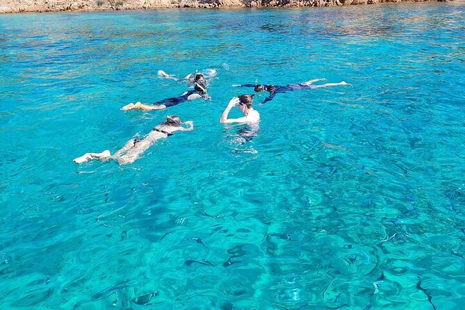 Dolphin Watching Tour with Snorkeling from Olbia - Boarding at MOYS, Marina di Olbia Yachting Services (and what to bring)