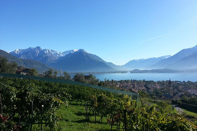 Domaso: Wine Tasting at the Winery on Como Lake - What the cellar tour really gives you