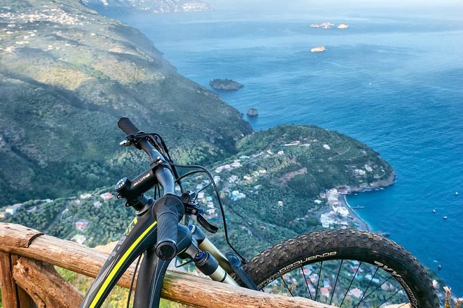 E-Bike Food and Wine Tour in the Sorrento Peninsula - Price and value: is $131.87 a good deal?