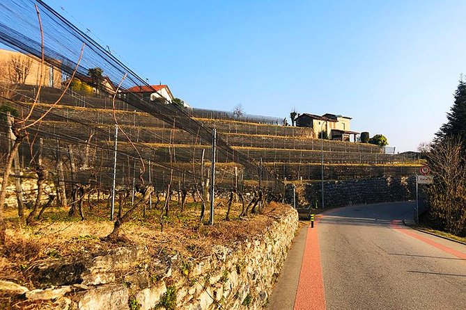 E-Bike Tour Lake Como and Swiss Vineyards - Should you book this e-bike tour of Lake Como and Swiss vineyards?