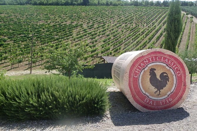 Essence of Chianti Small Group Tour with Lunch and Tastings from Florence - Key Things I’d Prioritize on This Chianti Tour