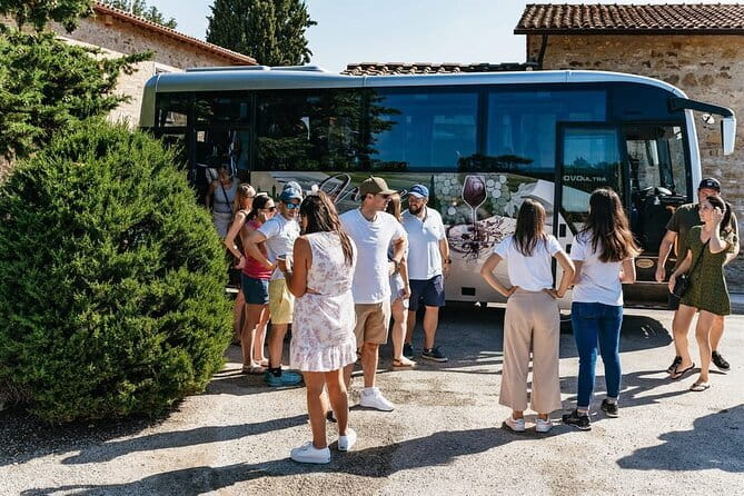 Essence of Chianti Small Group Tour with Lunch and Tastings from Florence - Stop 1, Tenuta Riseccoli: Organic Hilltop Winery and Olive Oil Tasting