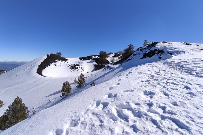 Etna and Alcantara Gorges Excursion - The Big Picture: A Volcano Day That Has Two Very Different Moods