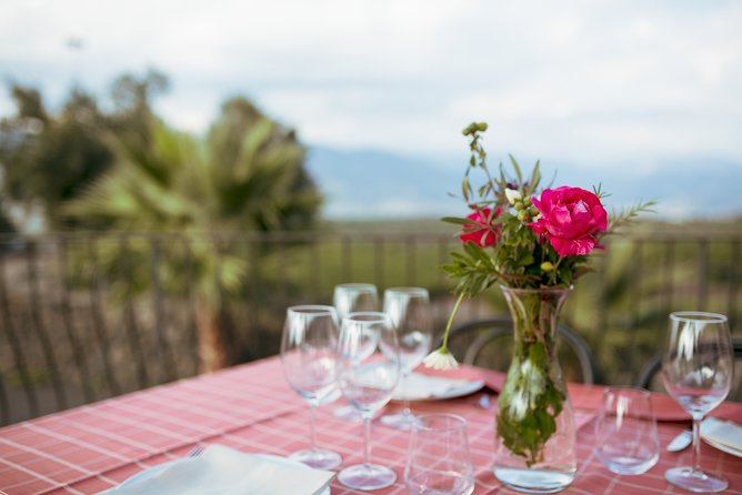 Etna Countryside Food & Wine Lovers Tour (Small Group or Private) - Book it or pass: my decision guide for your Etna day