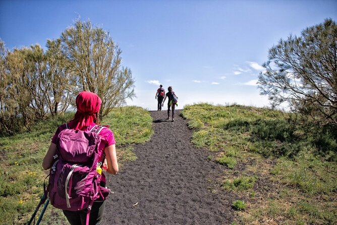 Etna Family Tour Excursion for families with children on Etna - Key highlights you will actually notice