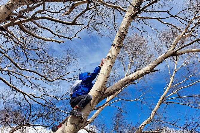 Etna Family Tour Excursion for families with children on Etna - The half-day rhythm: 3 to 4 hours, paced for families