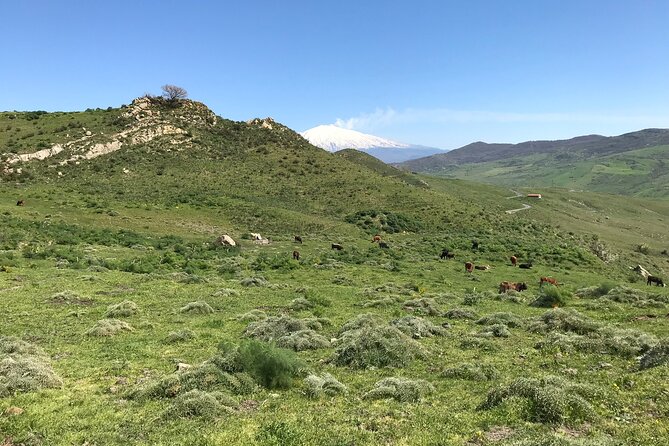 Etna Morning Jeep Tour - Optional cave stops: where the tour becomes unforgettable