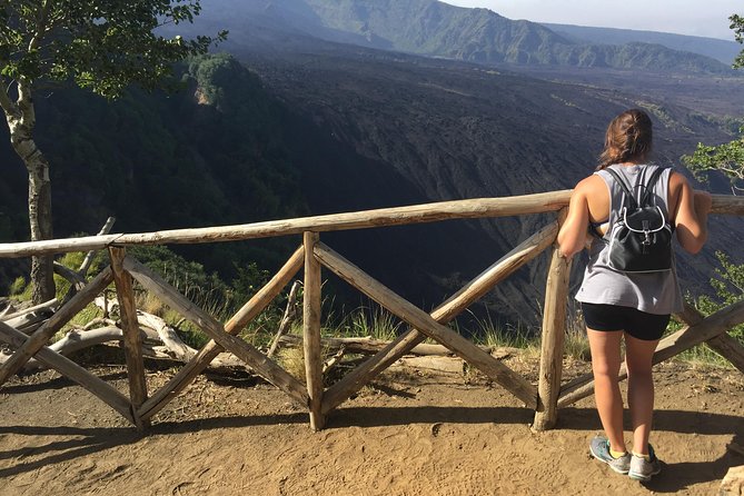 Etna Morning Tour (starting from Catania) - Valle del Bove Overlook: The Volcanic Boiler View