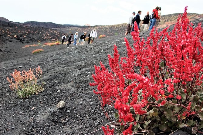 Etna Morning Trip - Pickup, meeting point, and the logistics that can make or break your day