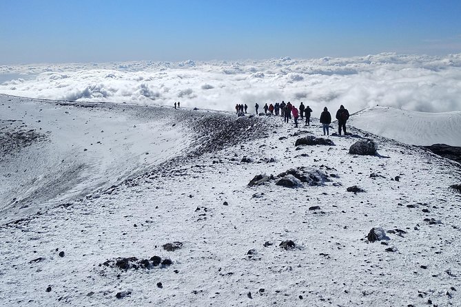 Etna Tour - HalfDay Small Group & licensed Tour Guide - Crater stops and the Silvestri ticket rule (5 euro)