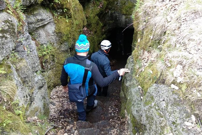 Etna Tour - HalfDay Small Group & licensed Tour Guide - Price and value: what you’re really paying for at about $90.74