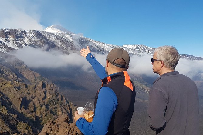 Etna Tour - HalfDay Small Group & licensed Tour Guide - Who this tour is best for