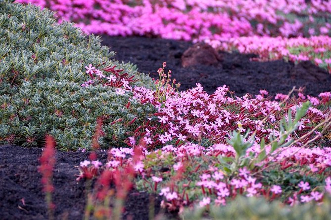 Etna Tour in 4x4 - Stop by stop: what to expect on Mt. Etna