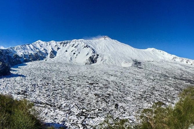 Etna Tour in 4x4 - Stop 4: MontataGrande products, Etna flavors, and a clean wrap-up