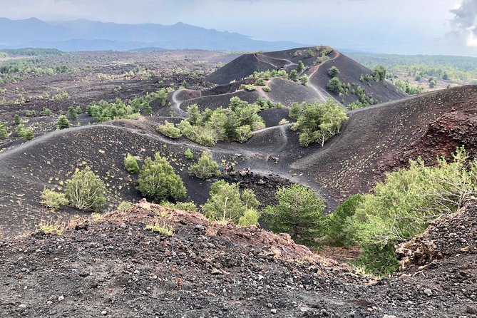 Etna, Wine and Alcantara Tour - From Taormina - Price and Logistics: what $139.07 gets you (and why it feels fair)