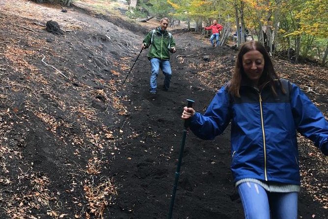 Etna, Wine and Alcantara Tour - From Taormina - Taormina pickup, group size, and the day’s rhythm