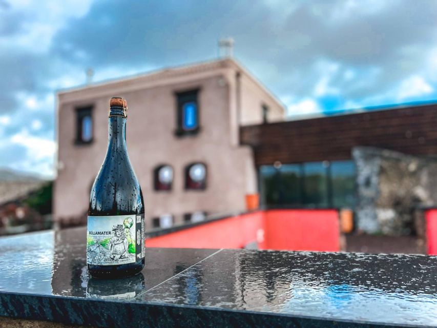 Etna: Wine Tasting and Food Tour - First Winery Visit: Sommelier-Guided Tasting and the Production Story