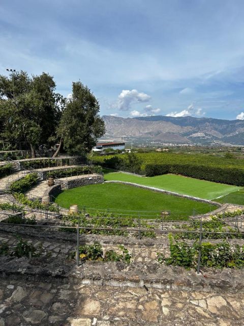 Etna: Wine Tasting and Food Tour - Price and Value: Does $129.14 Make Sense for This Etna Day?