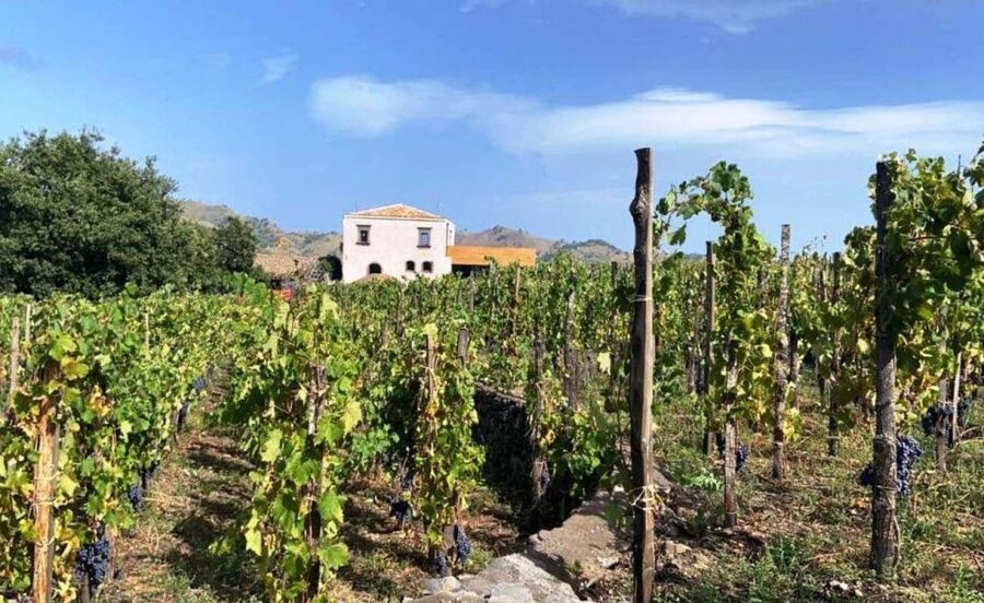 Etna: Wine Tasting and Food Tour - Getting Picked Up in Catania and Settling In for the Drive Up