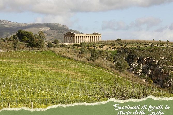 five sense outdoor experience - Castellammare del Golfo vineyards and fruit tasting that feels real