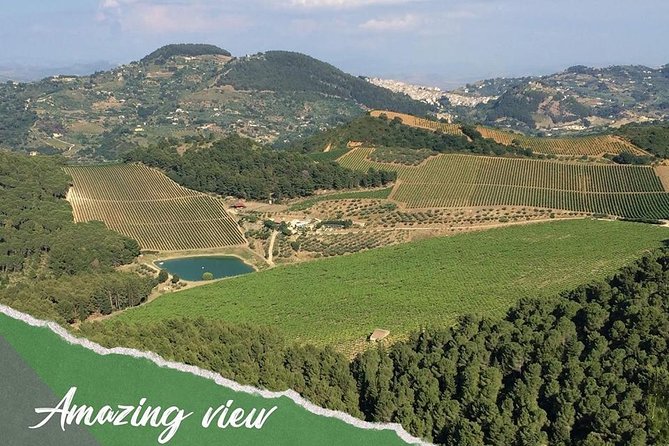 five sense outdoor experience - Should you book Segesta Tour 4x4?