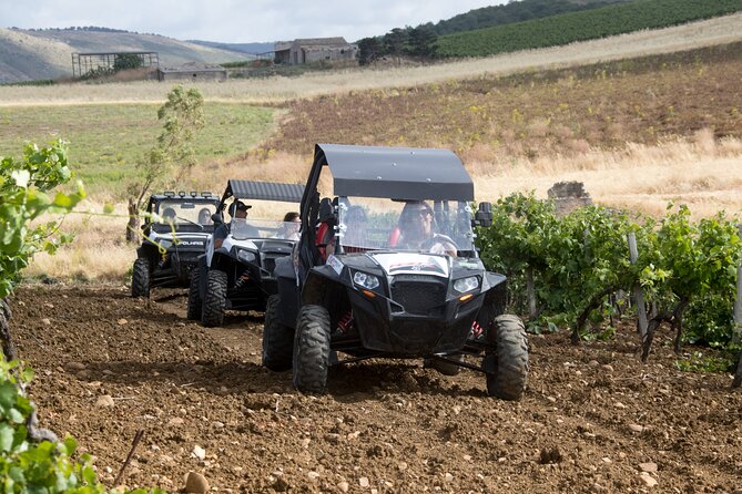 five sense outdoor experience - Monte Pispisa forest walk, Mediterranean plants, and wide views