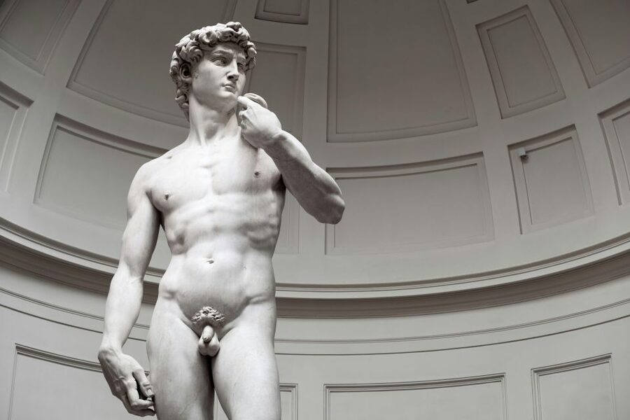Florence: Accademia Gallery Entry Ticket & David Guided Tour - What you see during the guided hour inside Accademia