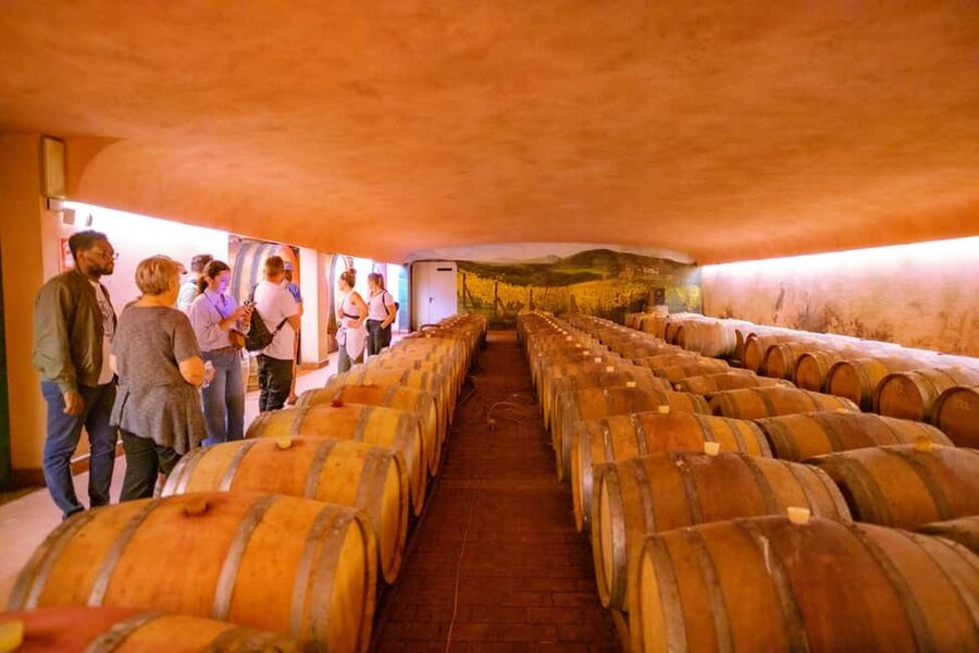 Florence: Chianti E-Bike Tour with Lunch & Two Wine Tastings - Potential downsides to plan around before you go
