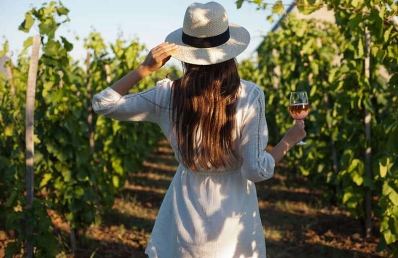 Florence: Chianti Vineyards Tour with Wine Tasting & Dinner - Key things that make this Chianti dinner tour work