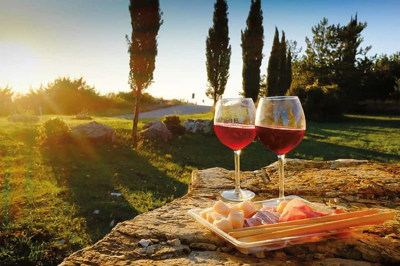 Florence: Chianti Vineyards Tour with Wine Tasting & Dinner - Aperitif and the Pace of Wine Service