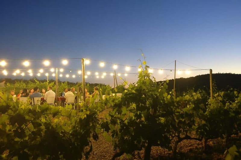 Florence: Chianti Vineyards Tour with Wine Tasting & Dinner - Food and Wine Pairing That Feels Local, Not Staged