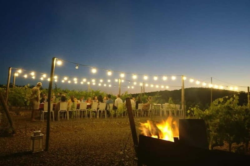 Florence: Chianti Vineyards Tour with Wine Tasting & Dinner - Price and Value: Is $123.48 Worth It?