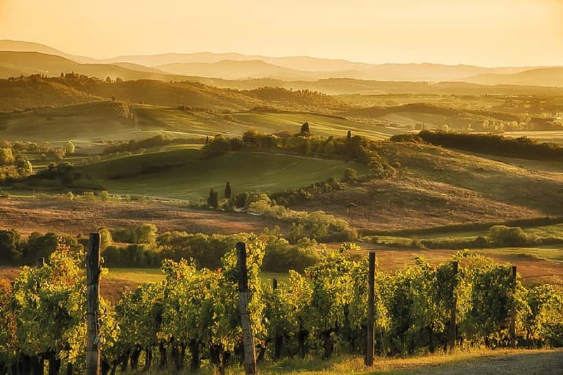 Florence: Chianti Vineyards Tour with Wine Tasting & Dinner - Who This Tour Fits Best (And Who Should Skip It)