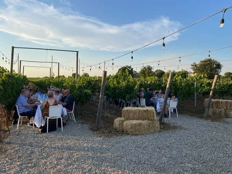 Florence: Chianti Vineyards Tour with Wine Tasting & Dinner - Practical Tips for a Smooth Vineyard Evening