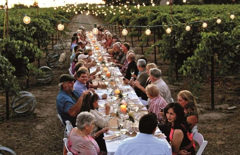 Florence: Chianti Vineyards Tour with Wine Tasting & Dinner - Winery Tour and Tastings: More Than a Sip-and-Smile