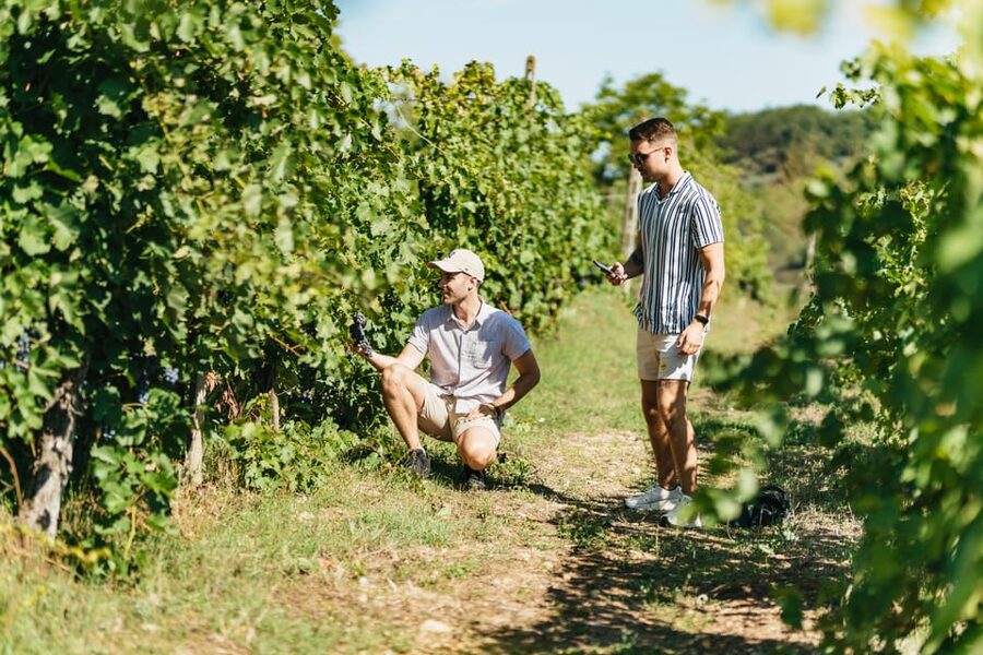 Florence: Chianti Wineries Tour with Wine Tasting - Who should book, and who should skip this kind of wine tour