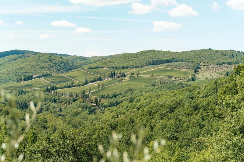 Florence: Chianti Wineries Tour with Wine Tasting - Buying wine without stress, and what to bring home