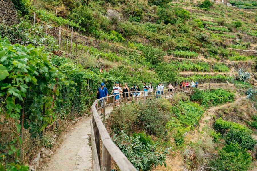 Florence: Cinque Terre Day Trip with Optional Hike - Key things that make this Cinque Terre day trip worth it