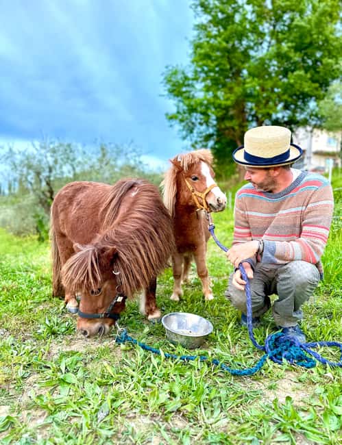 Florence: Countryside Tour with Wine Tasting & Pasta Class - Inside the wine cellar: 5 organic wines, olive oil tastings, and Vin Santo